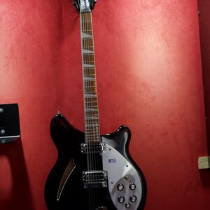 Rickenbacker 330/12
