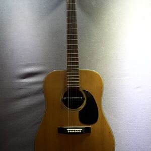 Washburn W-220 (Nashville tuning)