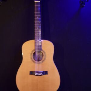 “CASH” hand-built 12-string acoustic